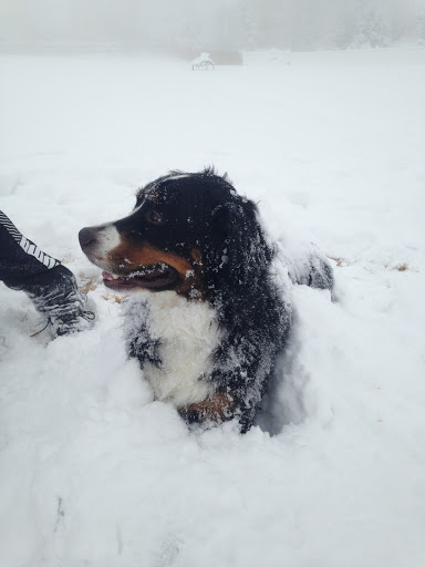 Park «Laura Gilpin Park», reviews and photos, 7415 Kettle Drum St, Colorado Springs, CO 80922, USA