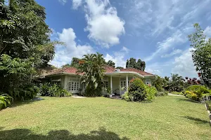 Castle Hill Bungalow Kandy image