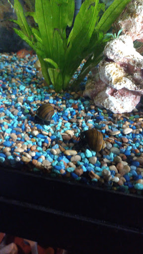 Pet Store «Pet World», reviews and photos, 7585 W 10th Ave, Lakewood, CO 80214, USA