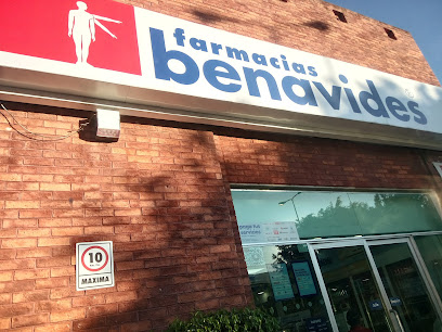 Farmacia Benavides, , Palomar