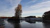 Skat Kundecenter Ribe Logo, Ribe, Denmark, Accounting Service