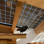 Photo n°5 de l'avis de S..e fait le 10/10/2022 à 12:06 sur le  Zur großen Tanne Bühl-Unterstmatt à Bühl