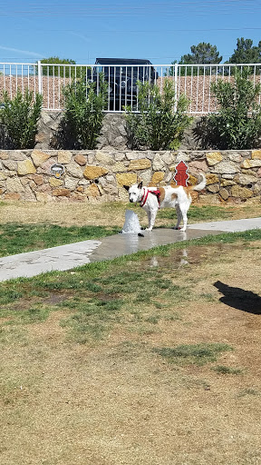 Animal Shelter «Humane Society of El Paso», reviews and photos