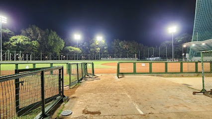 青年公园棒球场