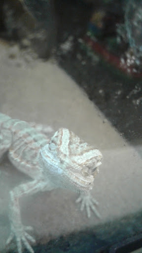 Pet Supply Store «PetSmart», reviews and photos, 104 TX-332, Lake Jackson, TX 77566, USA