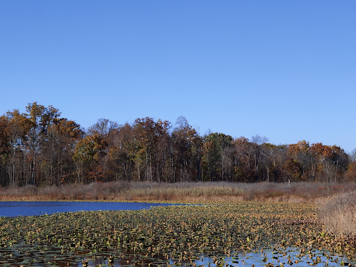 Bath Nature Preserve