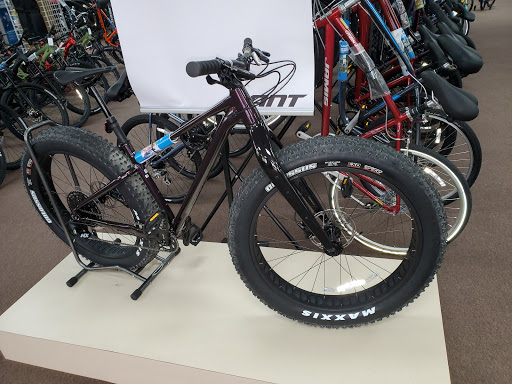 Bicycle Store «Bicycle World Lake Worth», reviews and photos, 6155 Lake Worth Rd, Lake Worth, FL 33463, USA