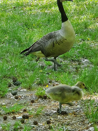 Park «Cochran Shoals - Powers Island», reviews and photos, 5450 Interstate N Pkwy, Sandy Springs, GA 30328, USA