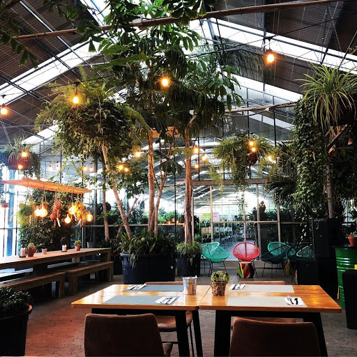Cats Kitchen - La Catarina Craft Beer