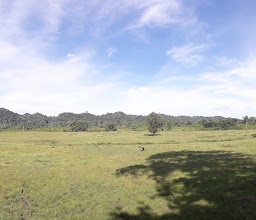 Padang Savana Sadengan photo
