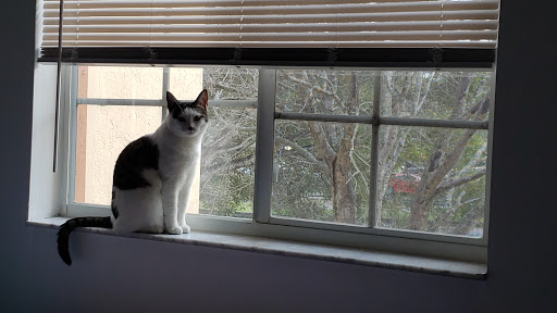 Pet Supply Store «Pet Supplies Plus», reviews and photos, 4923 Sheridan St, Hollywood, FL 33021, USA