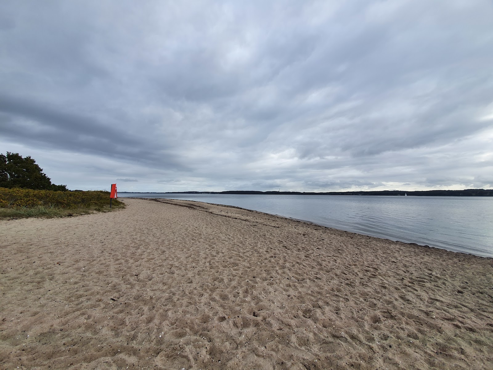 Φωτογραφία του Kollund Beach με ευρύχωρη ακτή