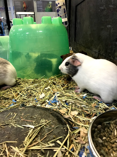 Pet Supply Store «PetSmart», reviews and photos, 220 Commerce Blvd, Fairless Hills, PA 19030, USA
