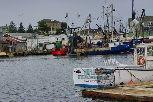 Lumber Store «Building Center of Gloucester», reviews and photos, 1 Harbor Loop, Gloucester, MA 01930, USA