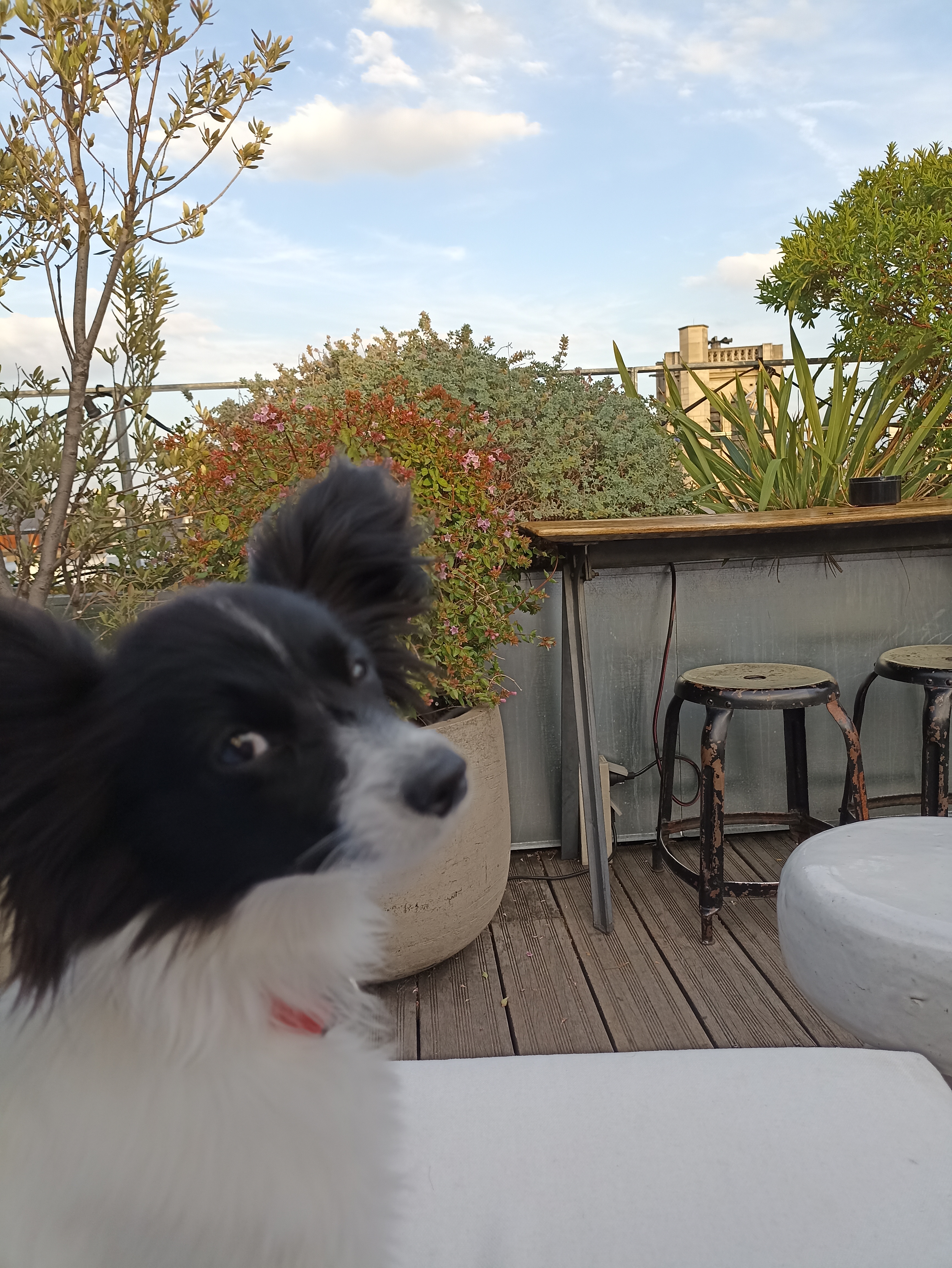 Photo n° 1 de l'avis de Vladimiro.U fait le 28/08/2022 à 18:43