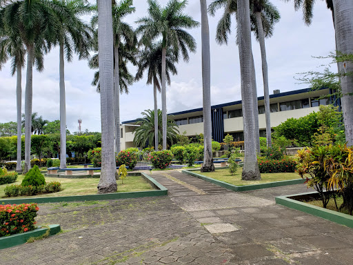 Academias universitarias Managua