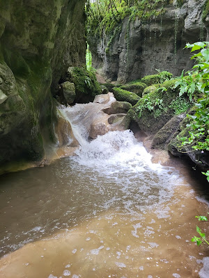 La Bridoire à La Bridoire