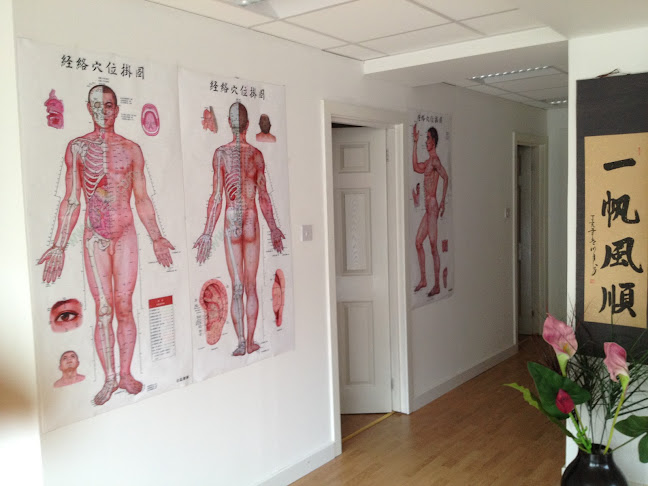 Comments and reviews of Glasgow Chinese Medicine & Acupuncture Clinic