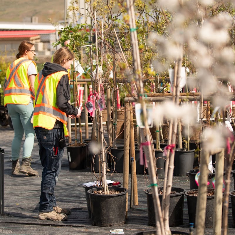 Lyons Landscaping and Garden Centre