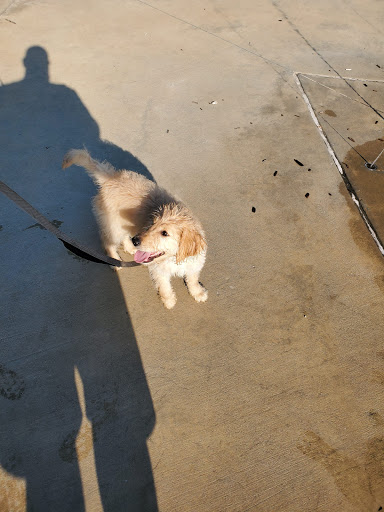 Park «John M. Whisenant Park», reviews and photos, 3701 Hudson Crossing, McKinney, TX 75070, USA