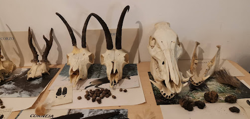 Museo - Centro de Interpretación de Ansó - Ansó