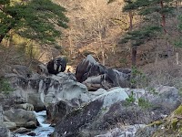 富士石