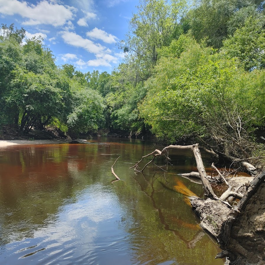 Upper Alapaha Conservation Area