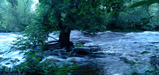 State Park «Lowell Heritage State Park», reviews and photos, 160 Pawtucket Blvd, Lowell, MA 01854, USA