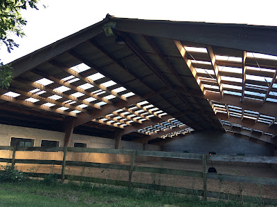 Haras de Musemeou à Sarbazan
