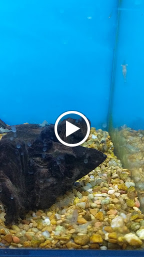 Pet Supply Store «Petco Animal Supplies», reviews and photos, 525 S 5th St, Bismarck, ND 58504, USA