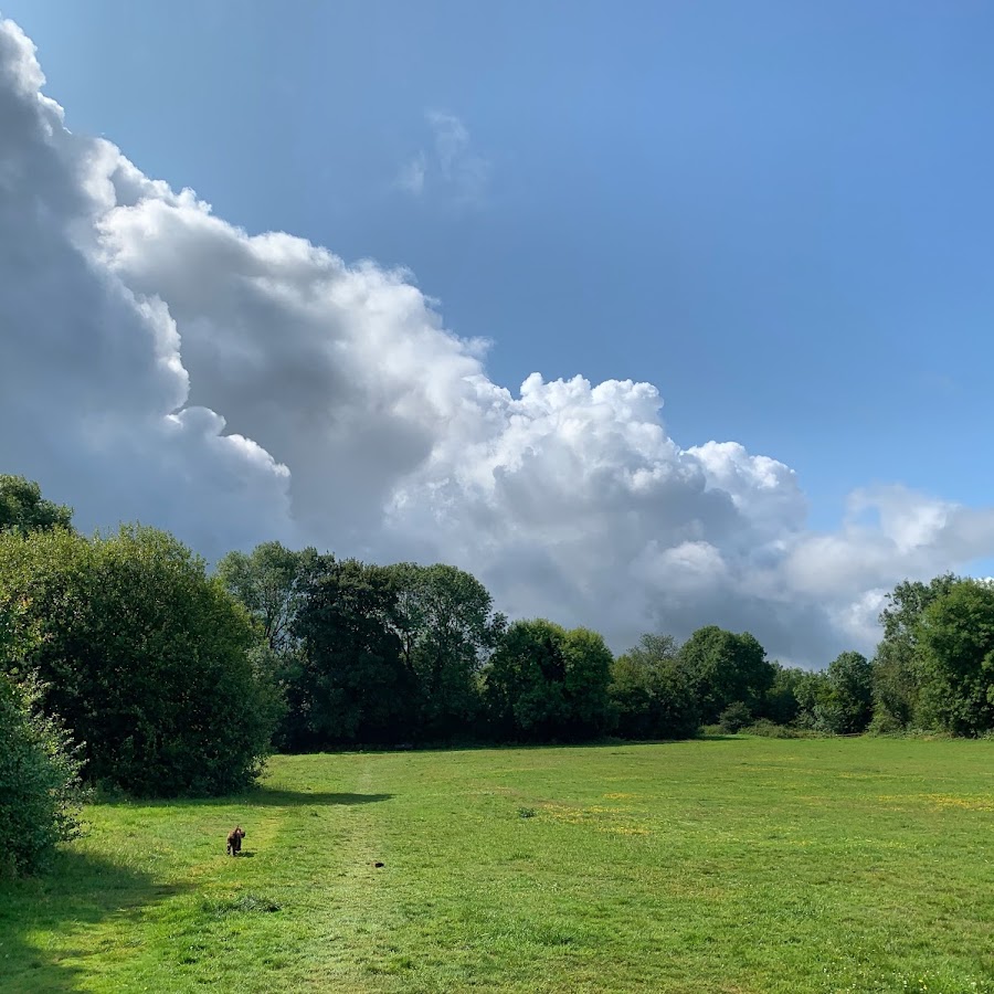 Blanchman's Farm Local Nature Reserve