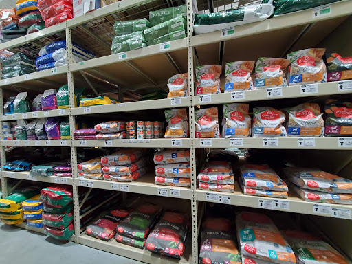 Home Improvement Store «Menards», reviews and photos, 10251 Baltimore St NE, Blaine, MN 55449, USA