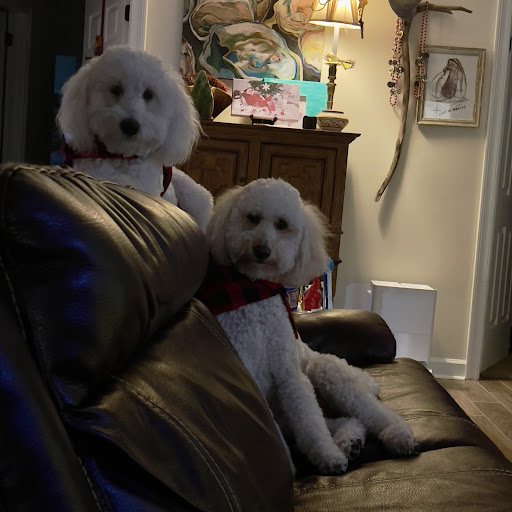 Lake Forest Animal Clinic image