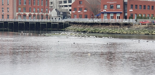 Clothing Store «Gap», reviews and photos, 125 Main St, Westport, CT 06880, USA