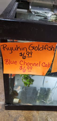 Pet Supply Store «Living Things», reviews and photos, 3437 PA-309, Orefield, PA 18069, USA