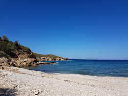 Foto di Koskina beach ubicato in zona naturale