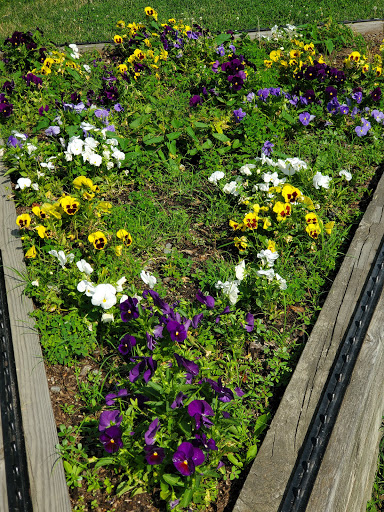 Park «Marine Park», reviews and photos, 49 Farragut Rd, Boston, MA 02127, USA