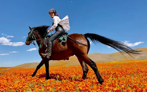 Running Horse Ranch image