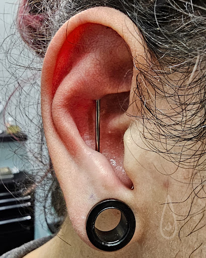 Explore bald head tattoo ideas, creative tattoo ideas in Addison, available at Cat Tattoo