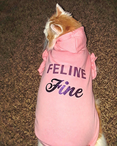 Pet Supply Store «Petco Animal Supplies», reviews and photos, 8966 S Broadway Ave #112, Tyler, TX 75703, USA