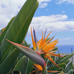 Photo n°2 de l'avis de Mykola.a fait le 31/08/2019 à 09:06 sur le  Hotel Royal Orchid à Caniço