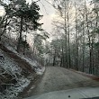 Cohutta Wildlife Management Area