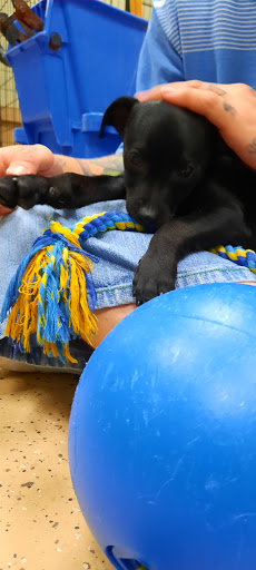 Pet Supply Store «Northern California Pet Supply and Grooming», reviews and photos, 1580 Nursery Way, McKinleyville, CA 95519, USA