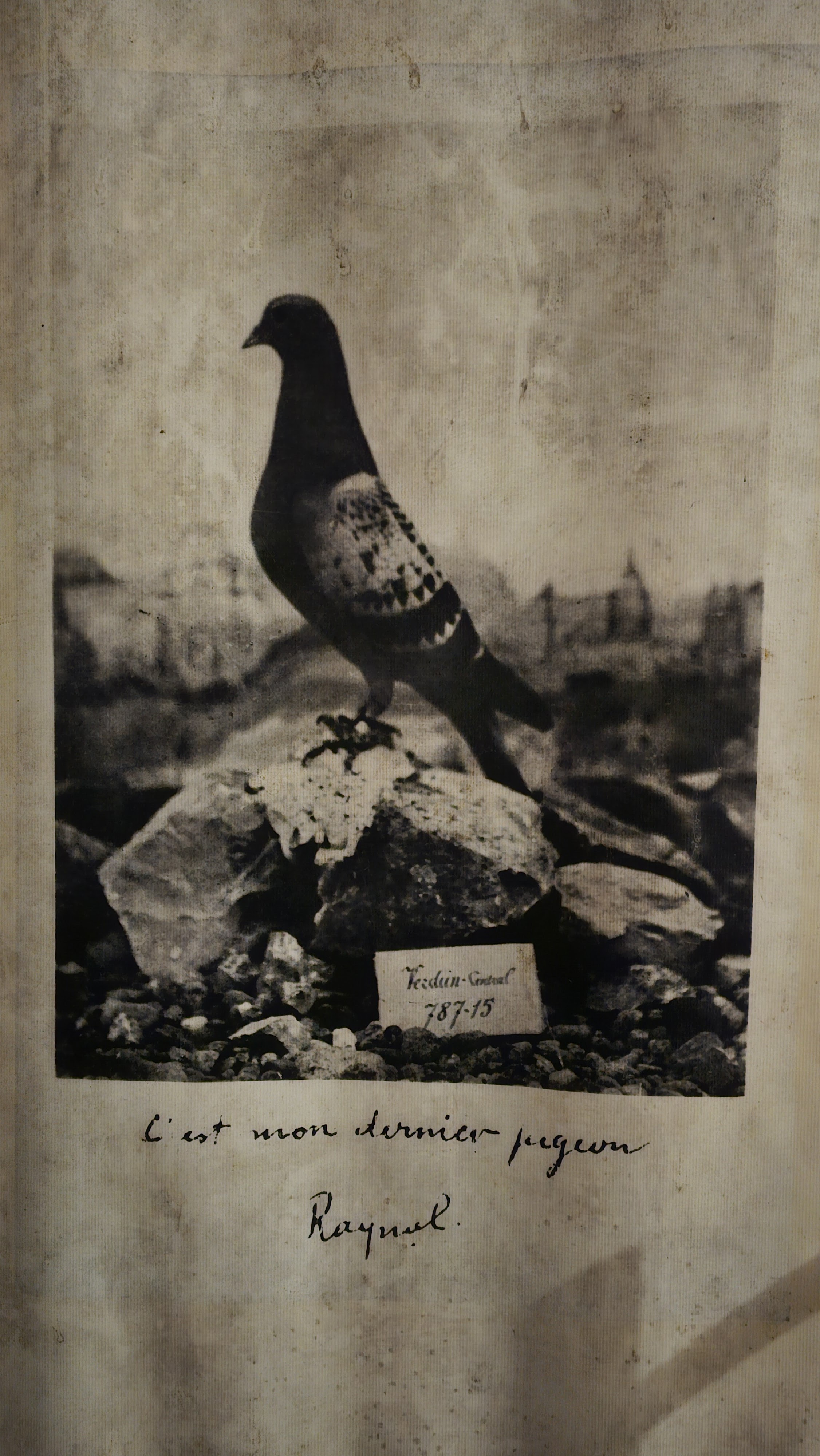 Photo n° 2 de l'avis de Sysy.o fait le 30/12/2023 à 18:46