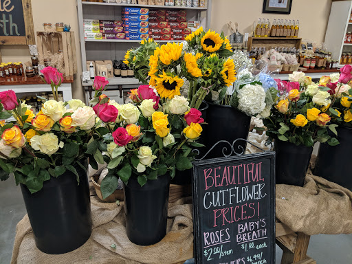 Flower market Augusta