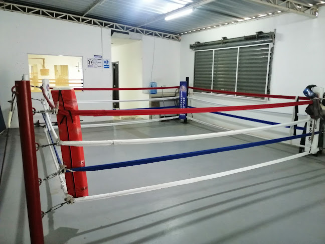 Fernández Boxing