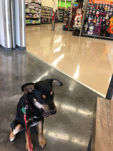 Pet Supply Store «Petco Animal Supplies», reviews and photos, 7223 Coastal Blvd, Brooksville, FL 34613, USA