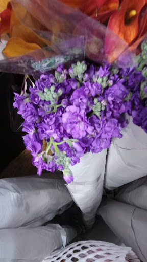 Florist «The Flower Place», reviews and photos, 860 NE 79th St, Miami, FL 33138, USA
