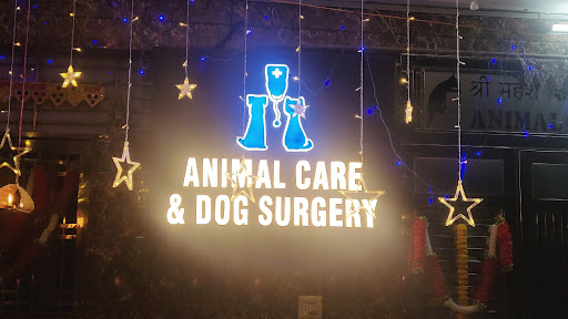 श्री महेश जानवरों की देखभाल और कुत्ते सर्जरी