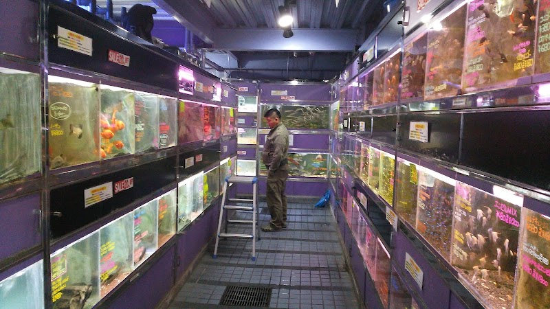 エキゾチックアフリカ 大阪府八尾市八尾木北 ペットショップ グルコミ